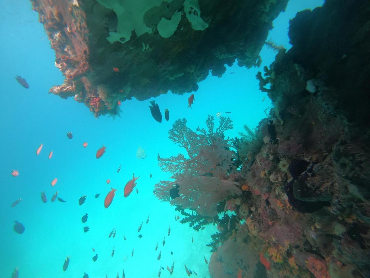 Meos Ambower Homestay Raja Ampat Fam Eksteriør billede