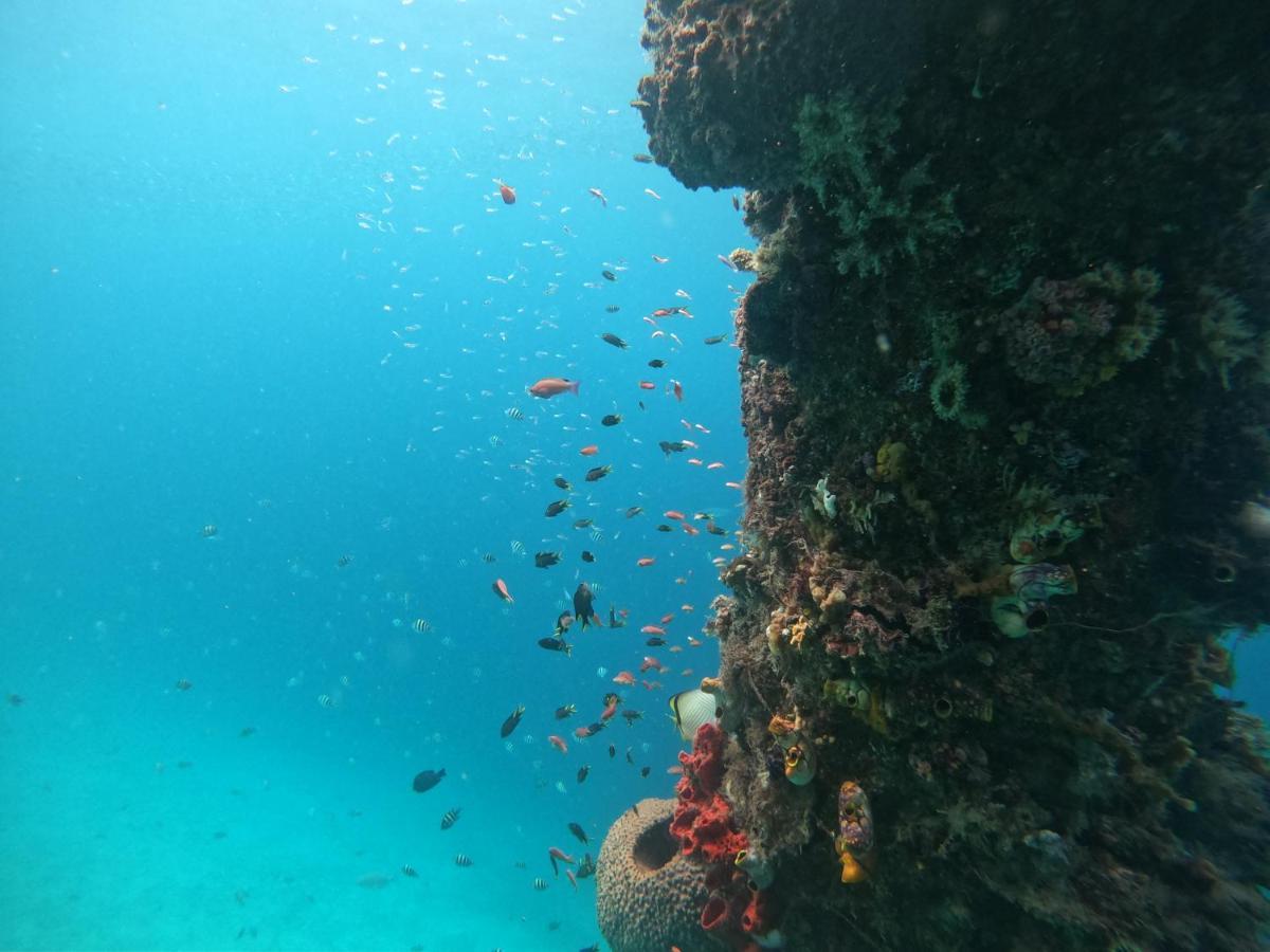 Meos Ambower Homestay Raja Ampat Fam Eksteriør billede