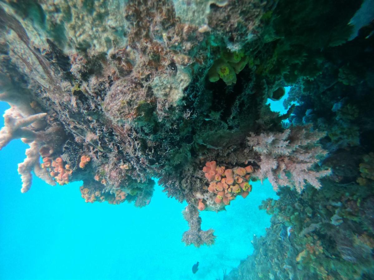Meos Ambower Homestay Raja Ampat Fam Eksteriør billede