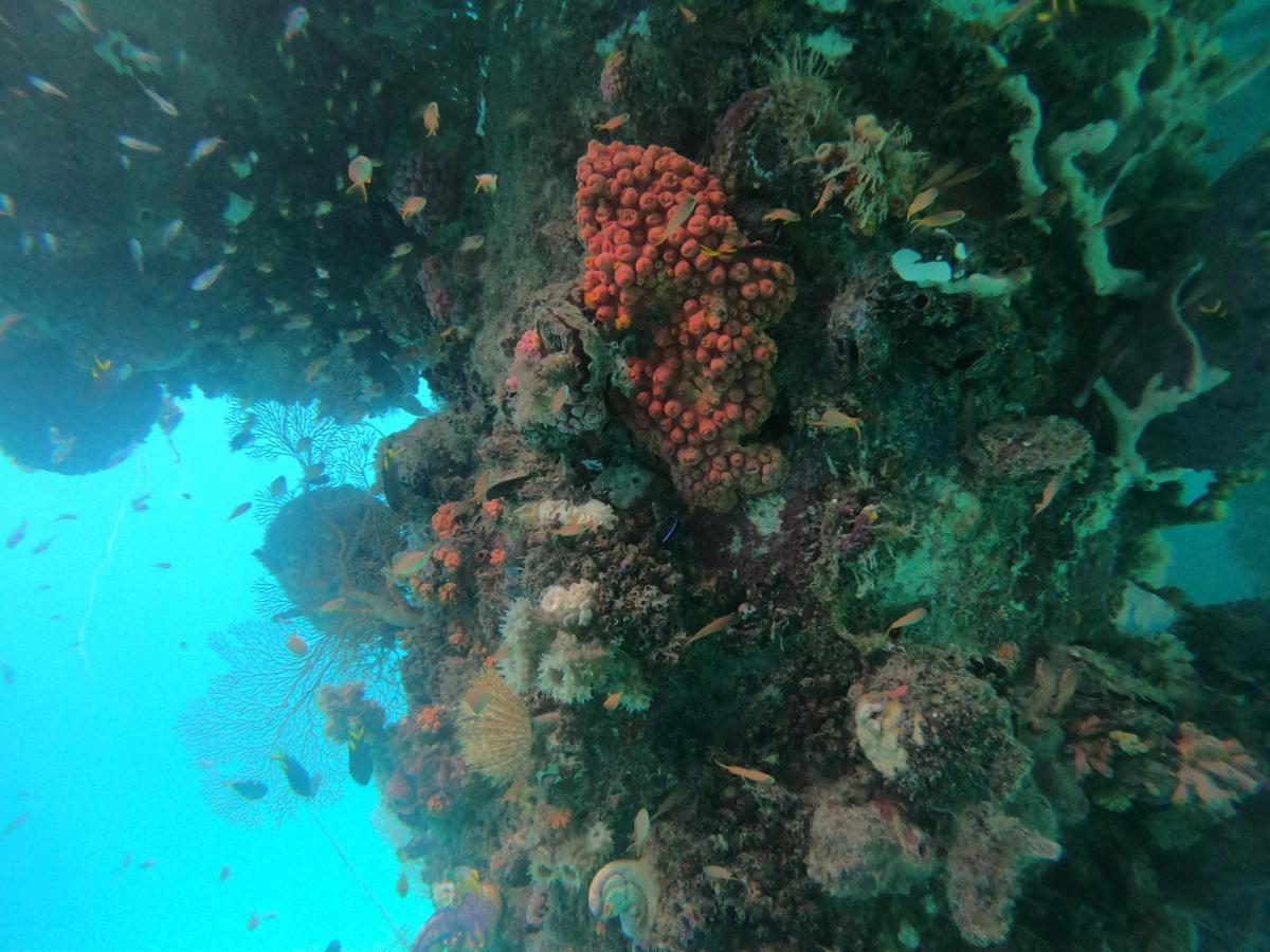 Meos Ambower Homestay Raja Ampat Fam Eksteriør billede